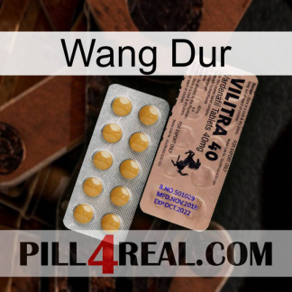 Hard Wang 41
